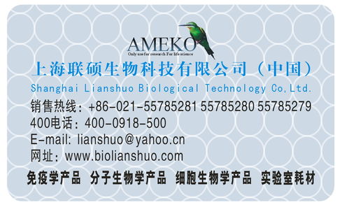深度解析價(jià)格、采購、供應(yīng)商信息與技術(shù)交流的關(guān)聯(lián)與策略